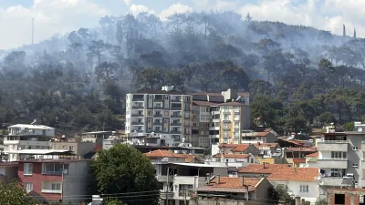 Balıkesir'in Edremit ilçesinde Kazdağları'nın eteklerinde bulunan Kadıköy mevkinde başlayan orman
