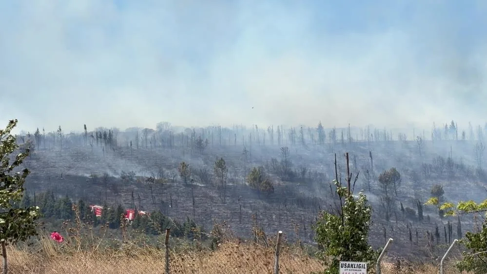 Gebze'de orman yangını ekiplerin yoğun çabasıyla söndürüldü!