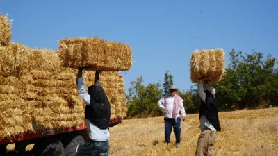 Edirne’de haziran ayında başlayan biçim ve balya sezonunda sona yaklaşılırken,