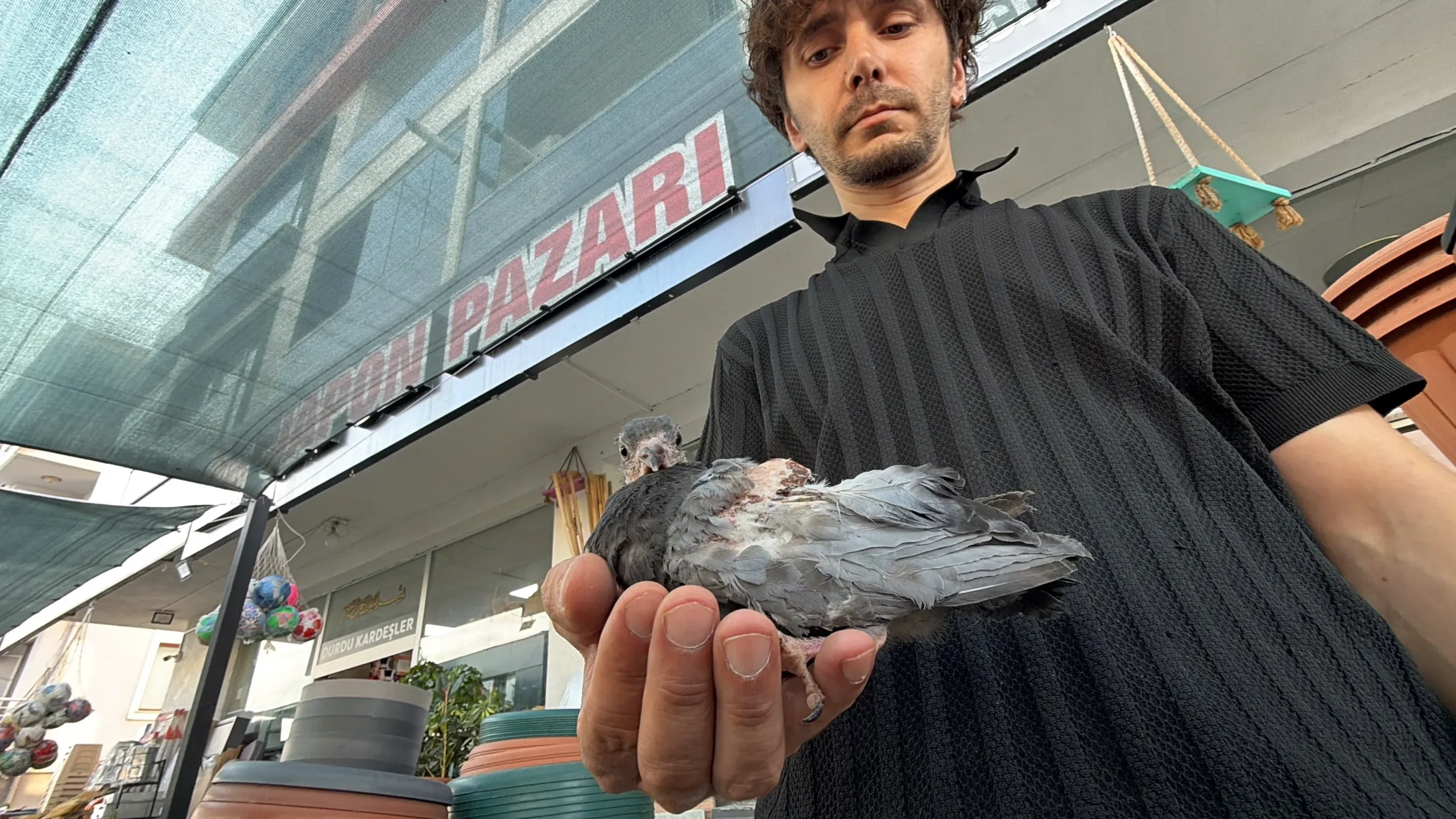 Yaralı kuşa esnaf şefkati