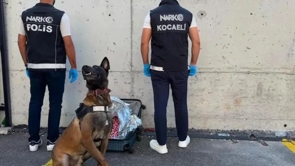 Kocaeli Emniyet Müdürlüğü Narkotik Suçlarla Mücadele Şube Müdürlüğü Gebze Büro