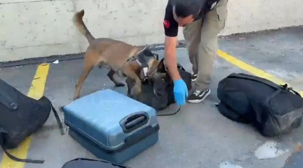 Narkotik köpeği valizde 21 bin sentetik ecza buldu