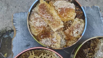 Batman'ın Sason ilçesindeki ormanlık alanlarda, ağaç kovuklarında el değmeden üretilen
