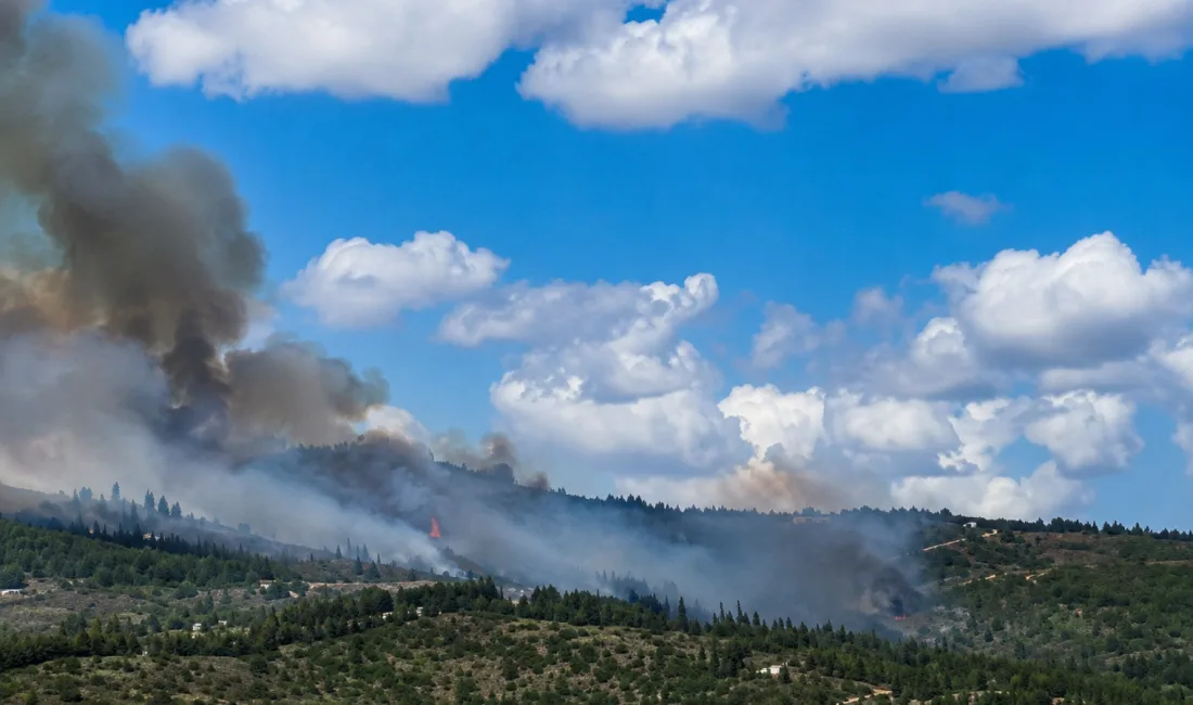 Gebze Beylikdağı’nda henüz bilinmeyen bir nedenle yangın çıktı. Kısa sürede