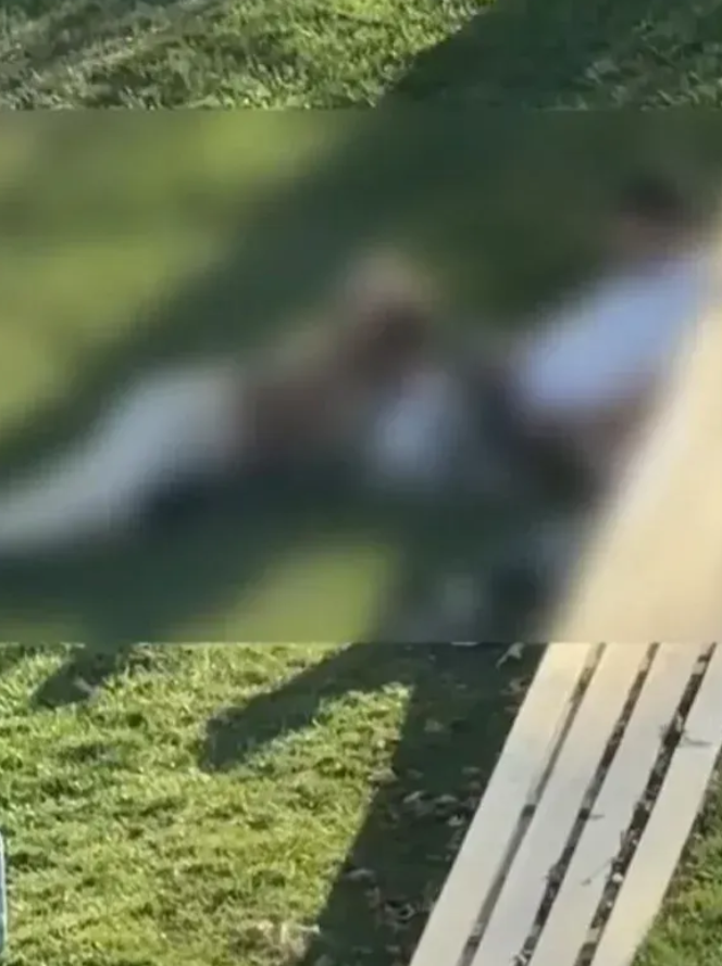 Parklarda peş peşe skandal! Bir görüntü daha gündem oldu