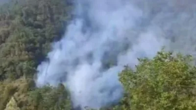 Kocaeli’nin Başiskele ilçesine bağlı Serindere Mahallesi’nde bulunan ormanlık alanda henüz