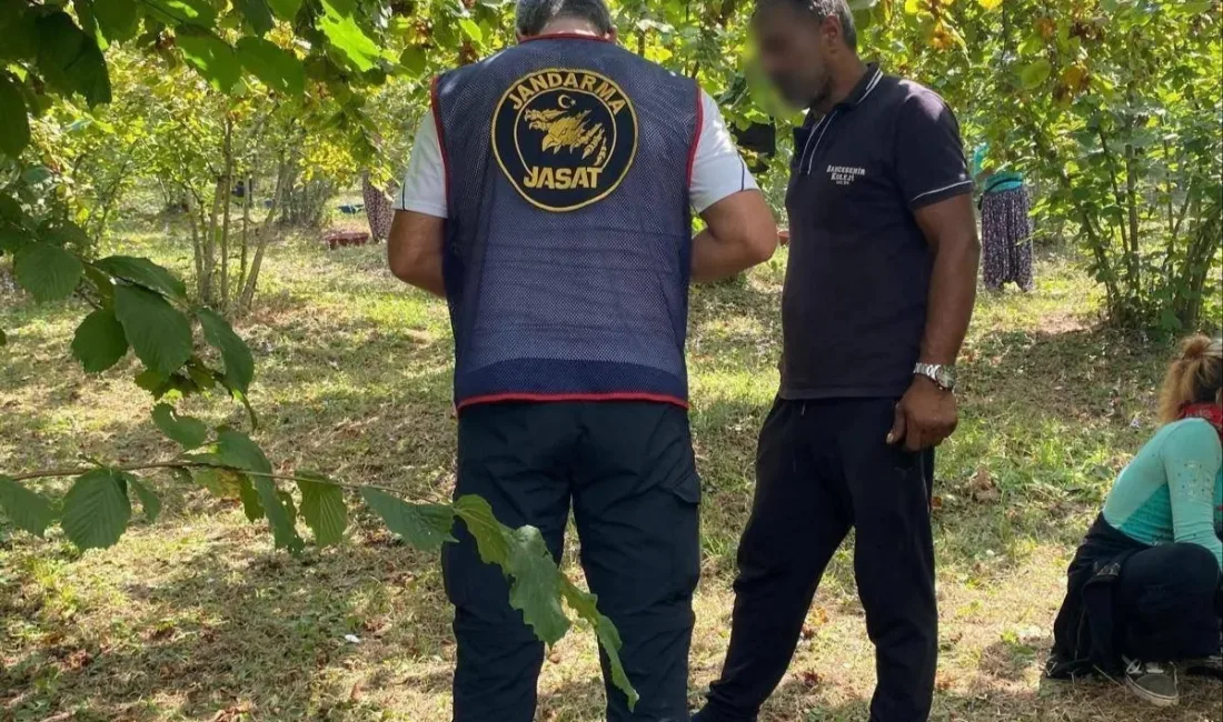 Kocaeli İl Jandarma Komutanlığı ekipleri, fındık hasadı döneminde tarlalarda yaşanabilecek