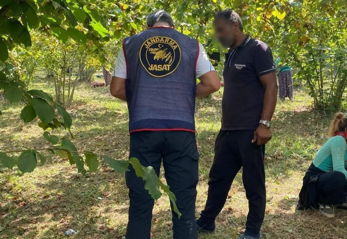 Kocaeli İl Jandarma Komutanlığı ekipleri, fındık hasadı döneminde tarlalarda yaşanabilecek