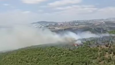 Kocaeli’nin Dilovası ilçesinde bulunan Organize Sanayi Bölgesi (OSB) yakınlarındaki ormanlık