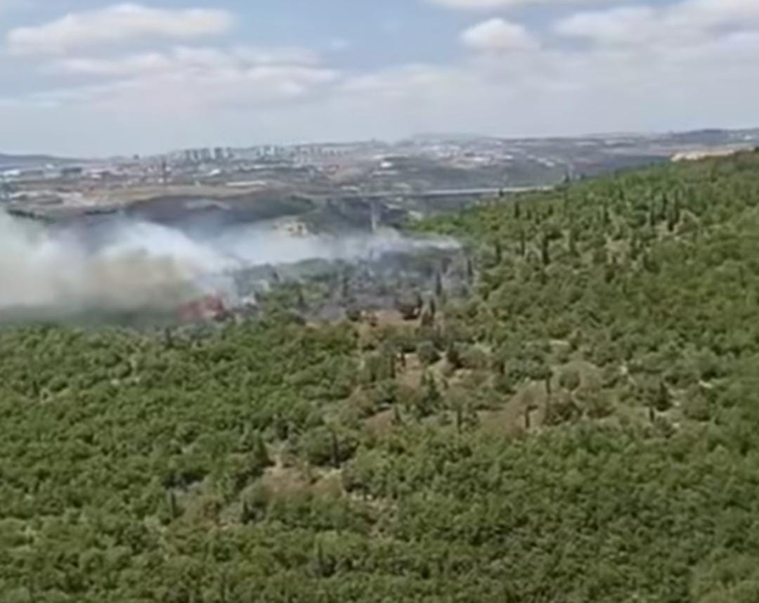 Kocaeli'de gün ortasında yangın!
