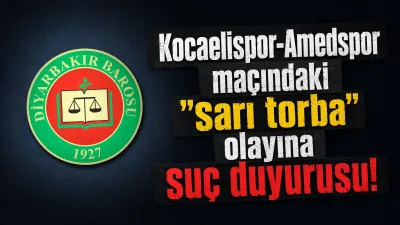 Diyarbakır Barosu İnsan Hakları Merkezi, Kocaelispor ile Amedspor arasında oynanan