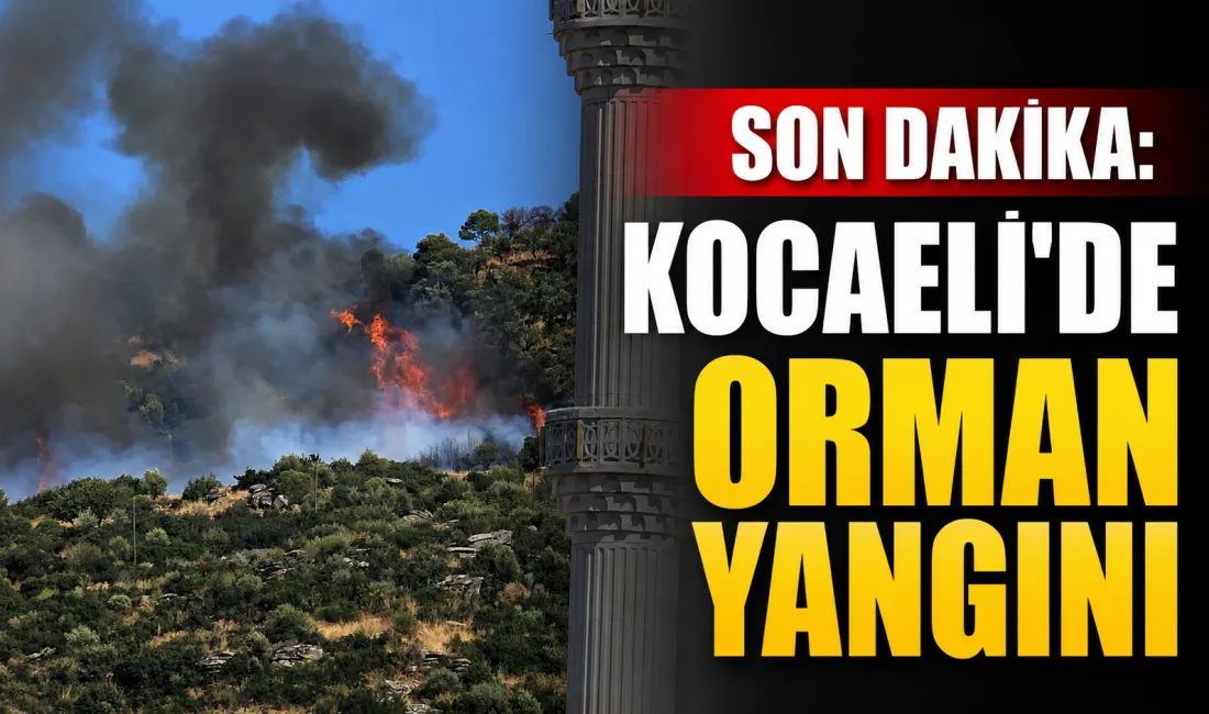 Kocaeli'nin Gebze ilçesinde orman yangını başladı. Bölgeye çok sayıda itfaiye