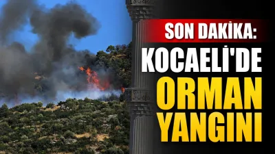 Kocaeli'nin Gebze ilçesinde orman yangını başladı. Bölgeye çok sayıda itfaiye