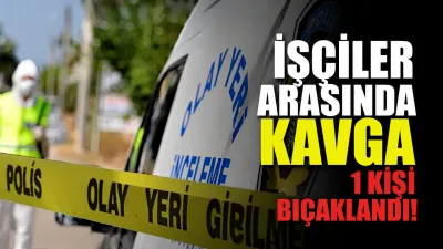 Sakarya'nın Kocaali ilçesine Diyarbakır'dan gelen mevsimlik tarım işçileri arasında ailevi