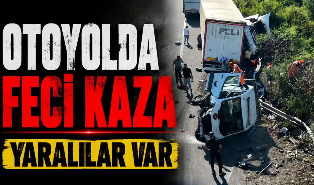Anadolu Otoyolu Sakarya geçişinde çekicinin emniyet şeridinde ot biçme çalışması