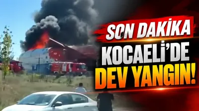 Kocaeli’nin Çayırova ilçesinde yer alan Uçak Park Bilim Merkezi’nde çıkan