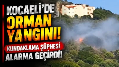 Kocaeli’nin Körfez ilçesinde otluk alanda çıkan ve rüzgarın etkisiyle hızla