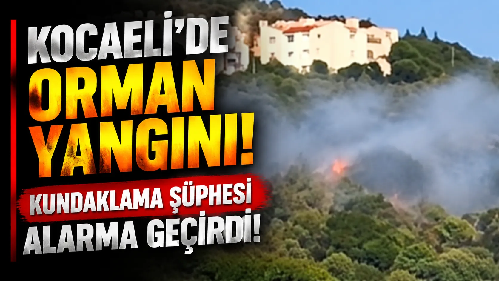 Kocaeli’nin Körfez ilçesinde otluk alanda çıkan ve rüzgarın etkisiyle hızla