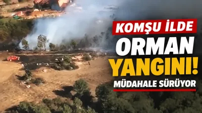 Bursa’nın Orhaneli ilçesinde çıkan orman yangınına havadan ve karadan müdahale