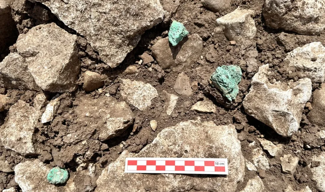 Kültür ve Turizm Bakanı Mehmet Nuri Ersoy, Diyarbakır'ın Ergani ilçesindeki