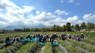 Kocaeli’de tıbbi ve aromatik bitkilerin üretimine yönelik çalışmalar sürerken, kadınların