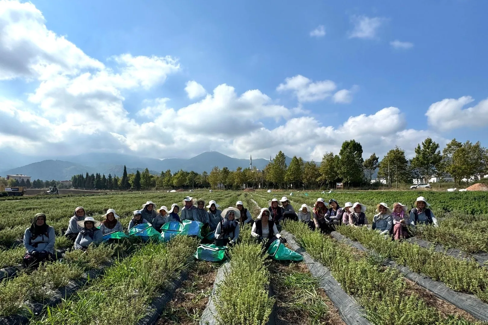 Kocaeli’de tıbbi ve aromatik bitkilerin üretimine yönelik çalışmalar sürerken, kadınların