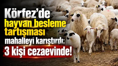 Kocaeli Körfez’de hayvan besleme nedeniyle komşular arasında çıkan kavgada 1