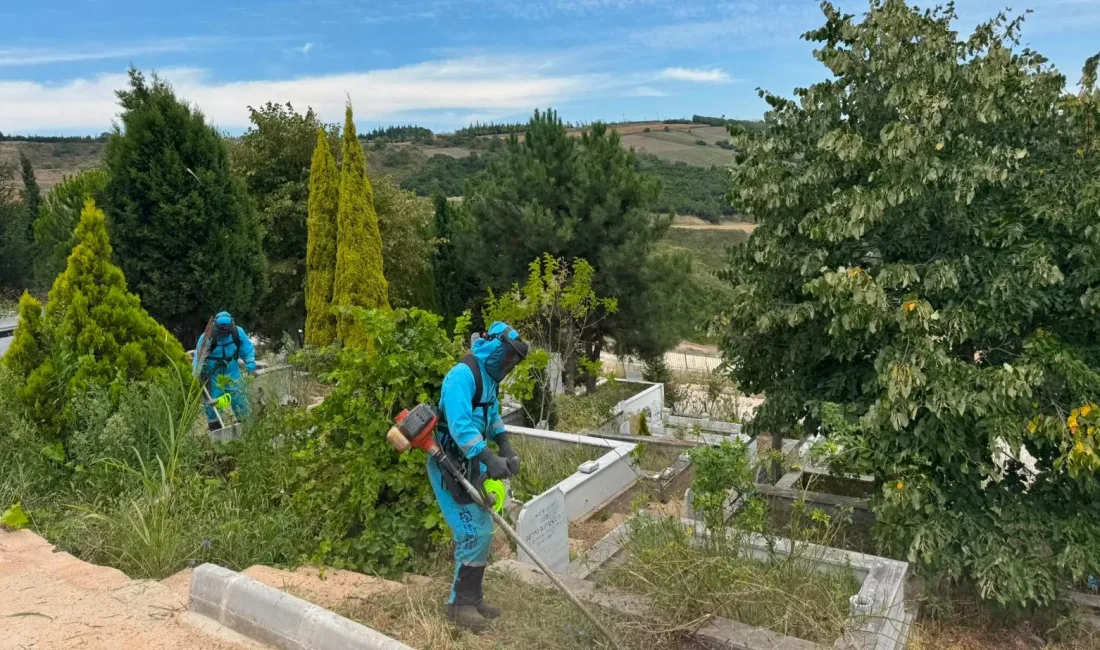 Kocaeli Büyükşehir Belediyesi, İzmit genelindeki merkez ve köy mezarlıklarında yabani