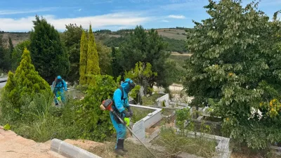 Kocaeli Büyükşehir Belediyesi, İzmit genelindeki merkez ve köy mezarlıklarında yabani