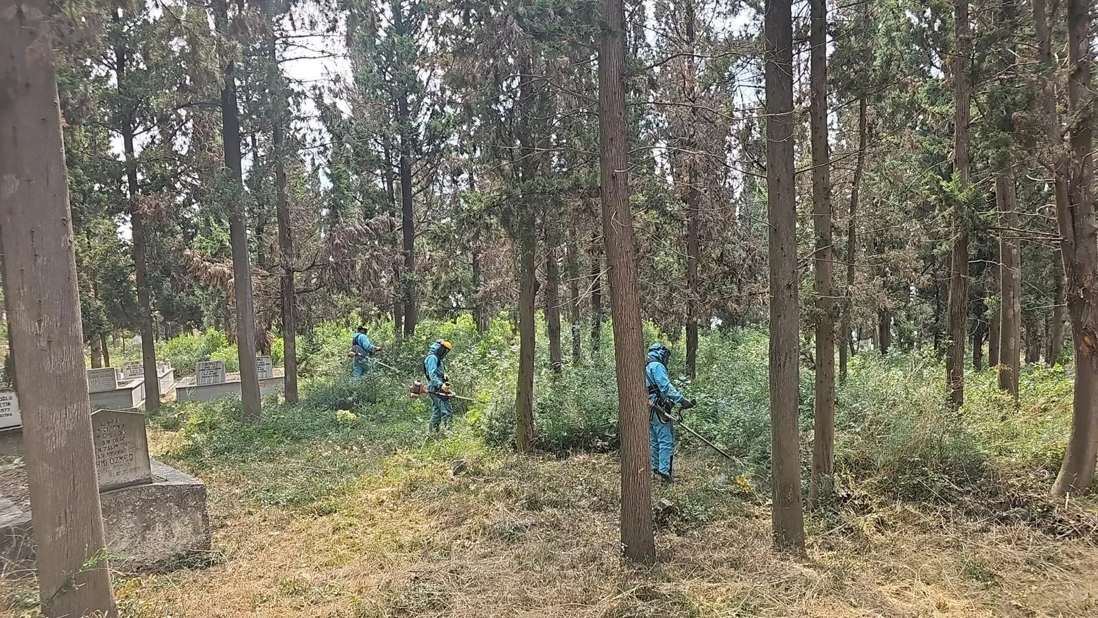 İzmit’te mezarlıklara kapsamlı bakım: Ekipler birçok noktada sahada