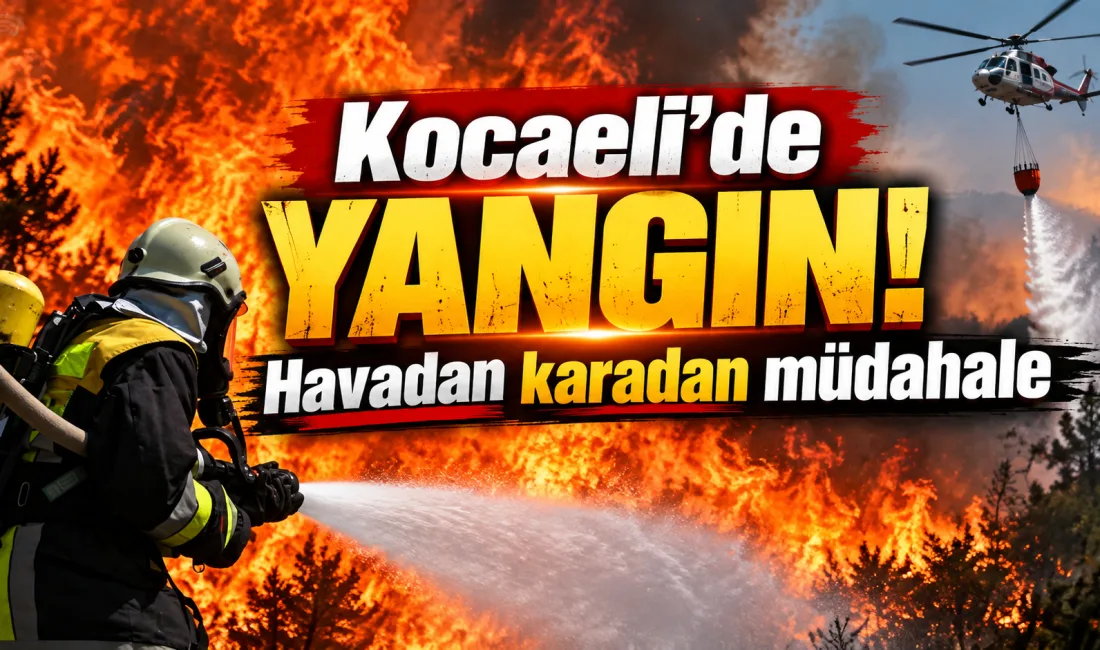 Kocaeli’nin sanayi ve geçiş güzergahında