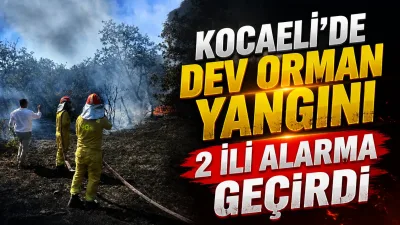 Kocaeli’nin Karamürsel ilçesi ile Bursa’nın İznik ilçesi sınırında çıkan yangın,